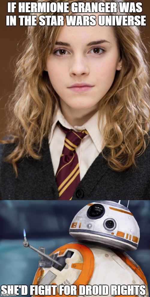 Hermione in star wars | IF HERMIONE GRANGER WAS IN THE STAR WARS UNIVERSE; SHE'D FIGHT FOR DROID RIGHTS | image tagged in hermione granger | made w/ Imgflip meme maker