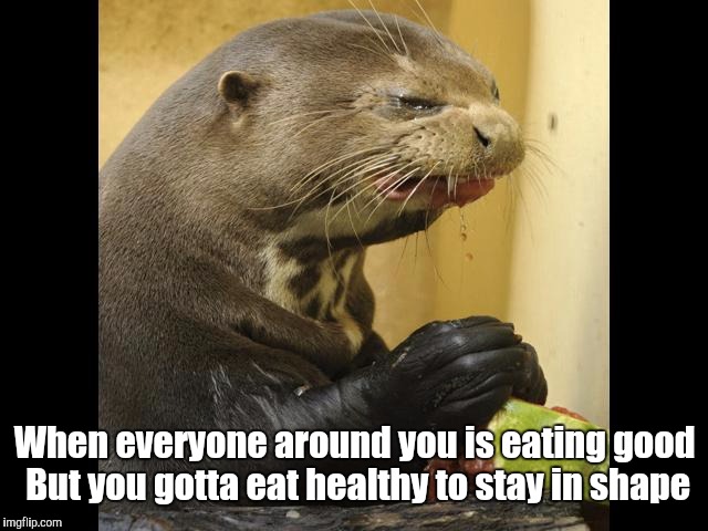 When everyone around you is eating good But you gotta eat healthy to stay in shape | image tagged in funny | made w/ Imgflip meme maker