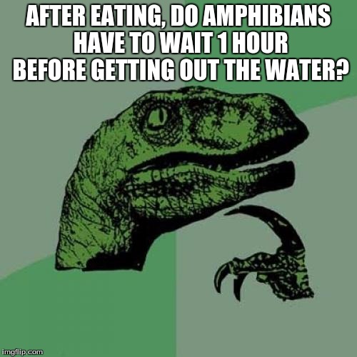Philosoraptor | AFTER EATING, DO AMPHIBIANS HAVE TO WAIT 1 HOUR BEFORE GETTING OUT THE WATER? | image tagged in memes,philosoraptor | made w/ Imgflip meme maker