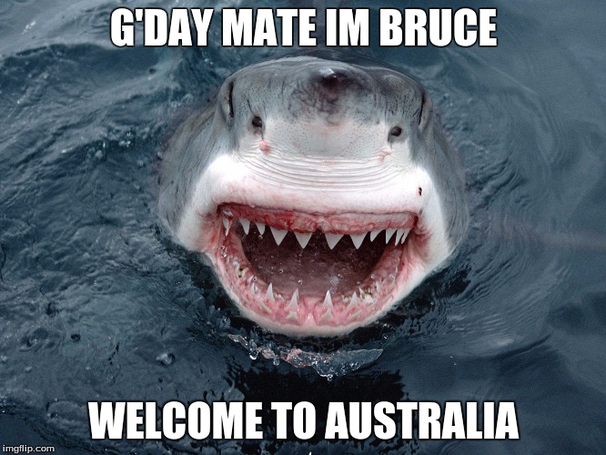Welcome to australia | G'DAY MATE IM BRUCE; WELCOME TO AUSTRALIA | image tagged in weclome to australia | made w/ Imgflip meme maker
