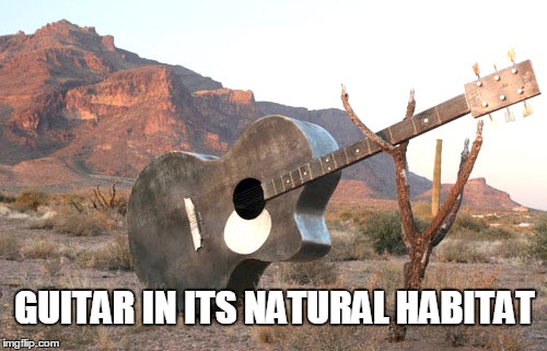 Guitar | GUITAR IN ITS NATURAL HABITAT | image tagged in guitar,nature,music | made w/ Imgflip meme maker