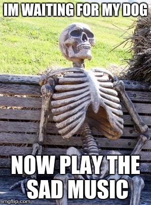 Waiting Skeleton | IM WAITING FOR MY DOG; NOW PLAY THE SAD MUSIC | image tagged in memes,waiting skeleton | made w/ Imgflip meme maker