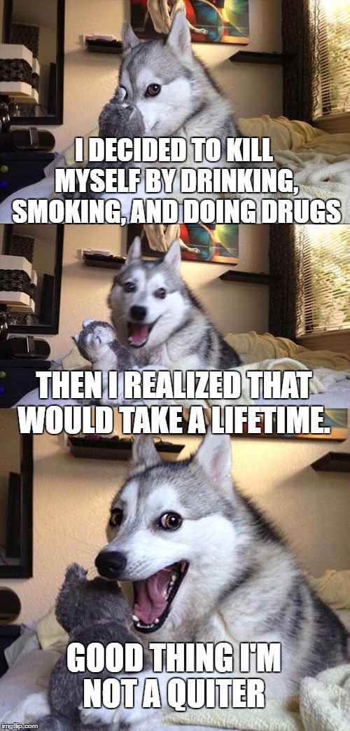 Bad Pun Dog | I DECIDED TO KILL MYSELF BY DRINKING, SMOKING, AND DOING DRUGS; THEN I REALIZED THAT WOULD TAKE A LIFETIME. GOOD THING I'M NOT A QUITER | image tagged in memes,bad pun dog | made w/ Imgflip meme maker