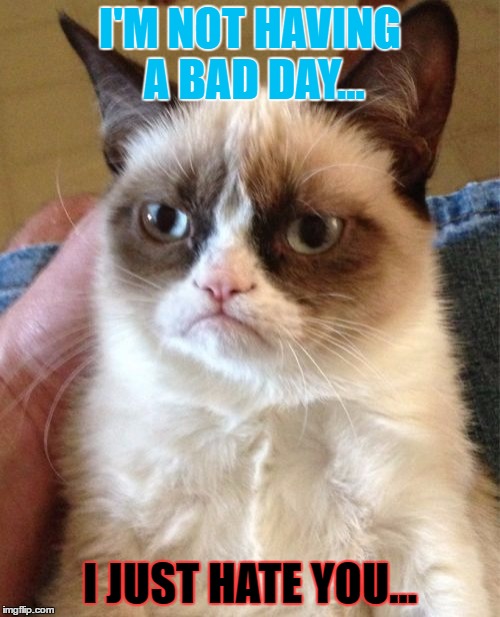 Grumpy Cat | I'M NOT HAVING A BAD DAY... I JUST HATE YOU... | image tagged in memes,grumpy cat | made w/ Imgflip meme maker