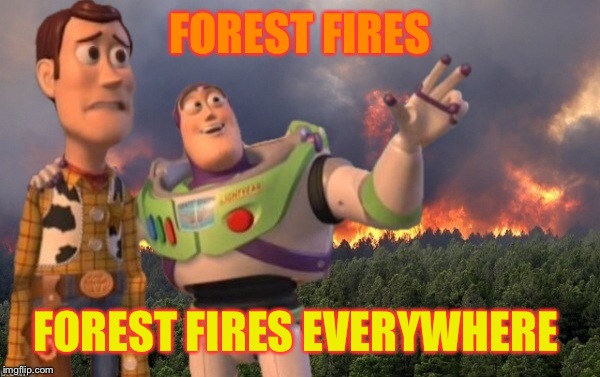FOREST FIRES; FOREST FIRES EVERYWHERE | image tagged in x x everywhere,bad memes | made w/ Imgflip meme maker