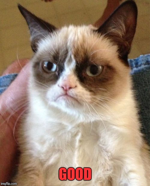 Grumpy Cat Meme | GOOD | image tagged in memes,grumpy cat | made w/ Imgflip meme maker