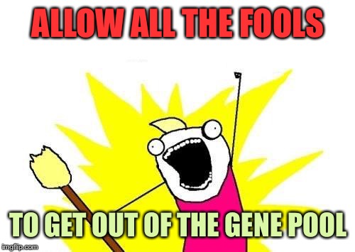 X All The Y Meme | ALLOW ALL THE FOOLS TO GET OUT OF THE GENE POOL | image tagged in memes,x all the y | made w/ Imgflip meme maker