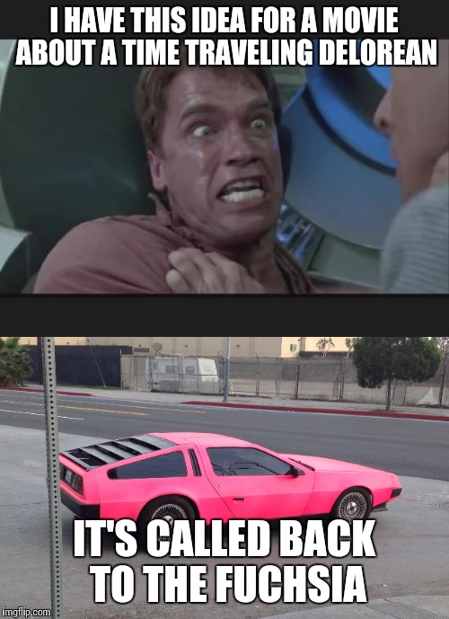 If Arnold Pitched Back to the Future | I HAVE THIS IDEA FOR A MOVIE ABOUT A TIME TRAVELING DELOREAN; IT'S CALLED BACK TO THE FUCHSIA | image tagged in arnold schwarzenegger,back to the future,memes | made w/ Imgflip meme maker