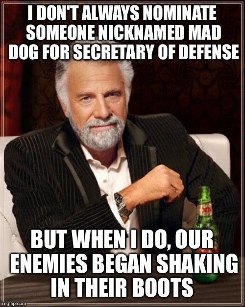 The Most Interesting Man In The World Meme | I DON'T ALWAYS NOMINATE SOMEONE NICKNAMED MAD DOG FOR SECRETARY OF DEFENSE; BUT WHEN I DO, OUR ENEMIES BEGAN SHAKING IN THEIR BOOTS | image tagged in memes,the most interesting man in the world | made w/ Imgflip meme maker