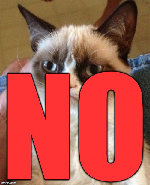 Grumpy Cat Meme | NO | image tagged in memes,grumpy cat | made w/ Imgflip meme maker