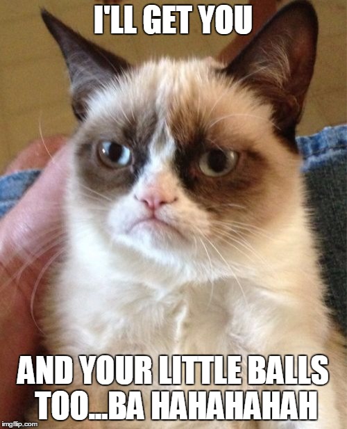 Grumpy Cat Meme | I'LL GET YOU AND YOUR LITTLE BALLS TOO...BA HAHAHAHAH | image tagged in memes,grumpy cat | made w/ Imgflip meme maker