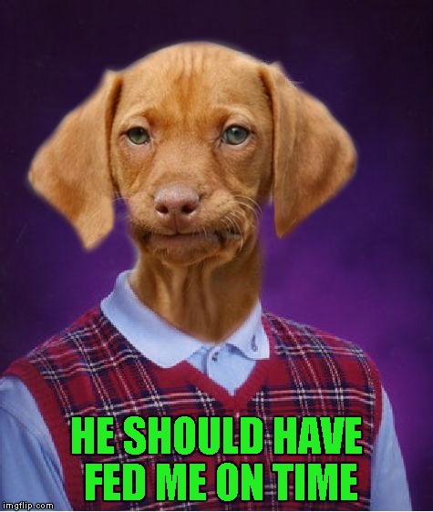 Bad Luck Raydog | HE SHOULD HAVE FED ME ON TIME | image tagged in bad luck raydog | made w/ Imgflip meme maker