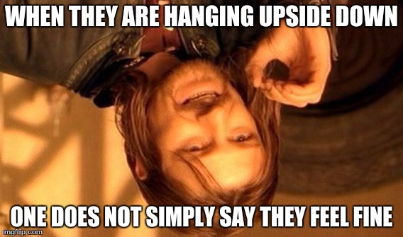 One Does Not Simply | WHEN THEY ARE HANGING UPSIDE DOWN; ONE DOES NOT SIMPLY SAY THEY FEEL FINE | image tagged in memes,one does not simply | made w/ Imgflip meme maker