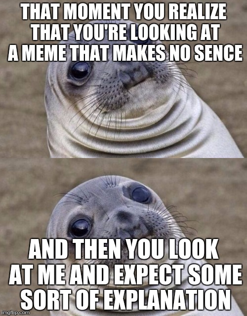 Awkward Moment Sealion | THAT MOMENT YOU REALIZE THAT YOU'RE LOOKING AT A MEME THAT MAKES NO SENCE; AND THEN YOU LOOK AT ME AND EXPECT SOME SORT OF EXPLANATION | image tagged in awkward moment sealion,memes,pointless meme | made w/ Imgflip meme maker