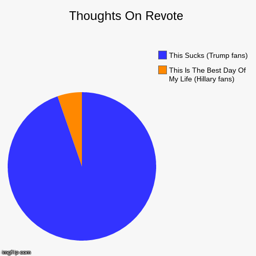 Thoughts On Revote | image tagged in funny,pie charts | made w/ Imgflip chart maker