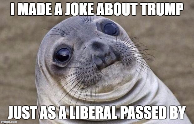 Awkward Moment Sealion Meme | I MADE A JOKE ABOUT TRUMP; JUST AS A LIBERAL PASSED BY | image tagged in memes,awkward moment sealion | made w/ Imgflip meme maker