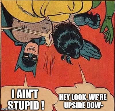 Upside down weekend  | I AIN'T STUPID ! HEY LOOK, WE'RE UPSIDE DOW- | image tagged in memes,batman slapping robin,upside-down weekend | made w/ Imgflip meme maker