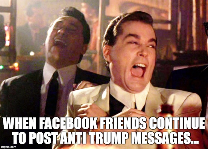 Good Fellas Hilarious | WHEN FACEBOOK FRIENDS CONTINUE TO POST ANTI TRUMP MESSAGES... | image tagged in memes,good fellas hilarious | made w/ Imgflip meme maker