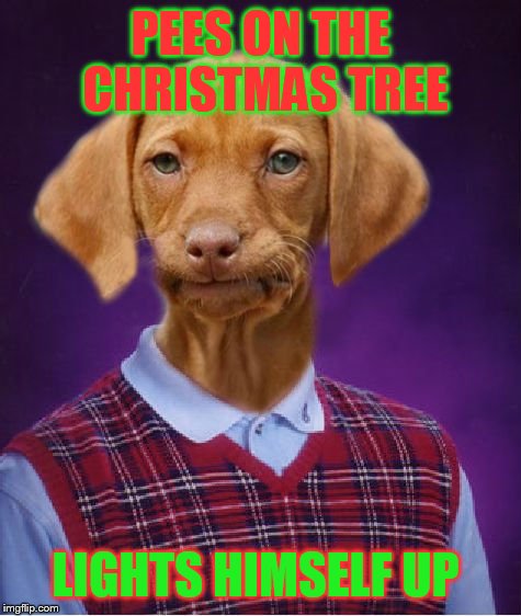 Bad Luck Raydog | PEES ON THE CHRISTMAS TREE; LIGHTS HIMSELF UP | image tagged in bad luck raydog | made w/ Imgflip meme maker