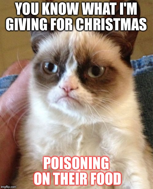 Grumpy Cat | YOU KNOW WHAT I'M GIVING FOR CHRISTMAS; POISONING ON THEIR FOOD | image tagged in memes,grumpy cat | made w/ Imgflip meme maker