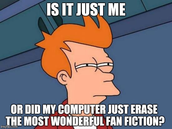 Futurama Fry | IS IT JUST ME; OR DID MY COMPUTER JUST ERASE THE MOST WONDERFUL FAN FICTION? | image tagged in memes,futurama fry | made w/ Imgflip meme maker