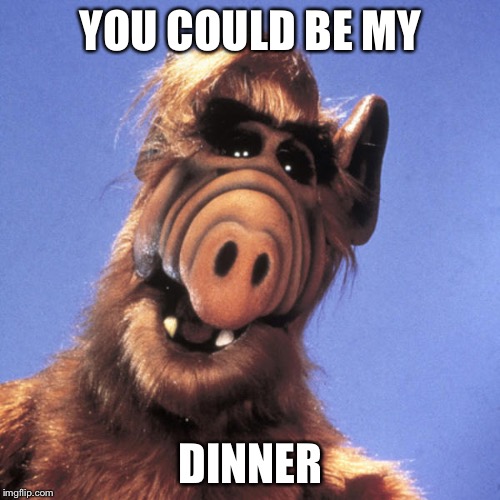 Alf  | YOU COULD BE MY DINNER | image tagged in alf | made w/ Imgflip meme maker
