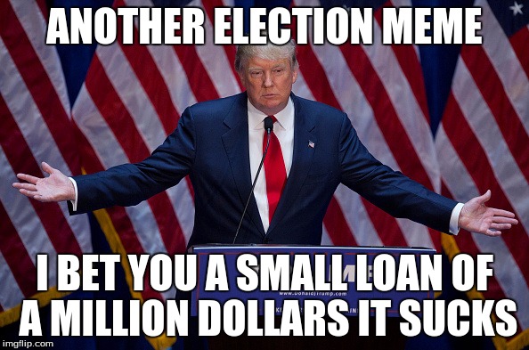 Donald Trump | ANOTHER ELECTION MEME; I BET YOU A SMALL LOAN OF A MILLION DOLLARS IT SUCKS | image tagged in donald trump | made w/ Imgflip meme maker