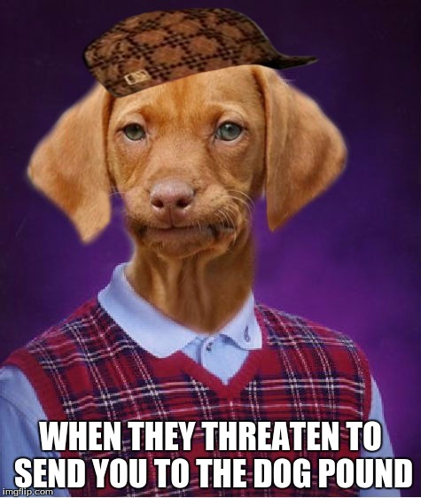 Raydog | WHEN THEY THREATEN TO SEND YOU TO THE DOG POUND | image tagged in bad luck raydog,scumbag,dog pound | made w/ Imgflip meme maker