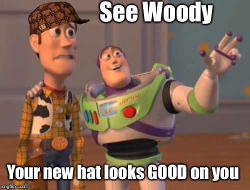 X, X Everywhere Meme | See Woody; Your new hat looks GOOD on you | image tagged in memes,x x everywhere,scumbag | made w/ Imgflip meme maker