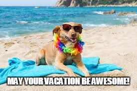 I'm on Vacation | MAY YOUR VACATION BE AWESOME! | image tagged in i'm on vacation | made w/ Imgflip meme maker