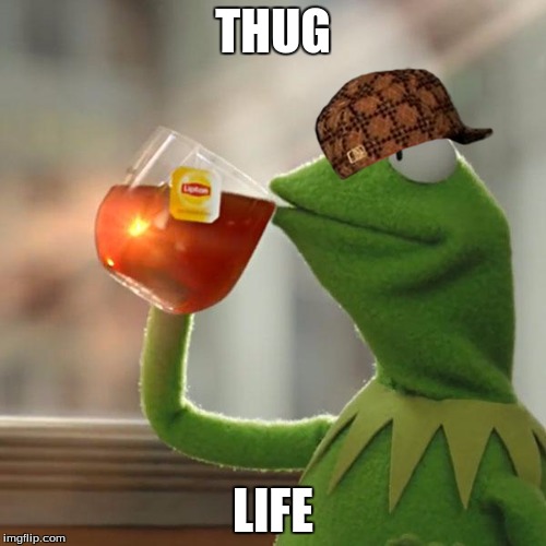 But That's None Of My Business | THUG; LIFE | image tagged in memes,but thats none of my business,kermit the frog,scumbag | made w/ Imgflip meme maker