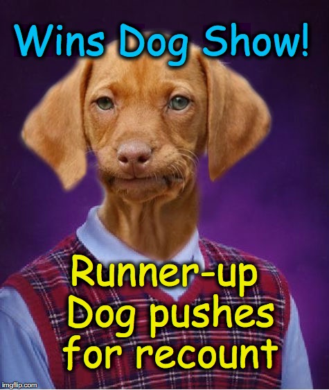 Bad Luck Raydog | Wins Dog Show! Runner-up Dog pushes for recount | image tagged in bad luck raydog | made w/ Imgflip meme maker