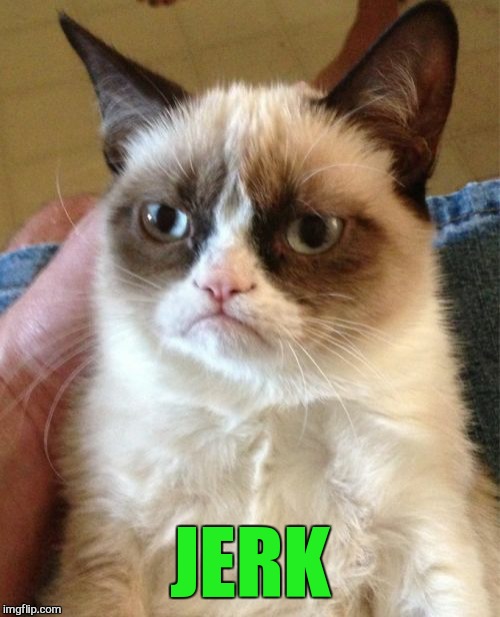 Grumpy Cat Meme | JERK | image tagged in memes,grumpy cat | made w/ Imgflip meme maker
