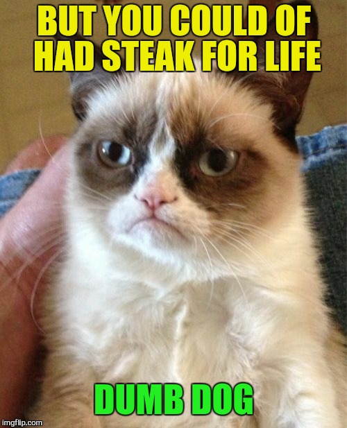 Grumpy Cat Meme | BUT YOU COULD OF HAD STEAK FOR LIFE DUMB DOG | image tagged in memes,grumpy cat | made w/ Imgflip meme maker