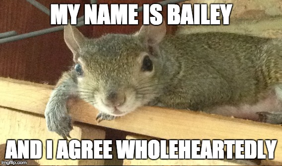 MY NAME IS BAILEY AND I AGREE WHOLEHEARTEDLY | made w/ Imgflip meme maker