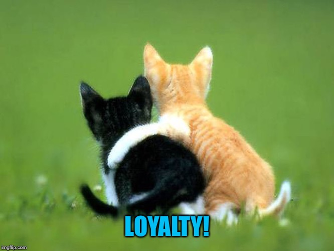 LOYALTY! | made w/ Imgflip meme maker