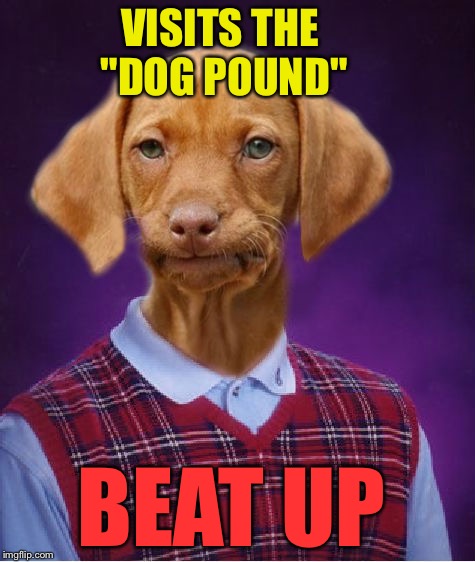 VISITS THE "DOG POUND" BEAT UP | made w/ Imgflip meme maker