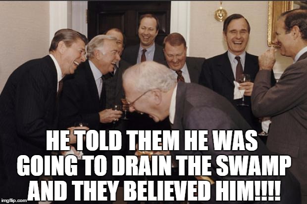 Trump victory. | HE TOLD THEM HE WAS GOING TO DRAIN THE SWAMP; AND THEY BELIEVED HIM!!!! | image tagged in politics lol | made w/ Imgflip meme maker