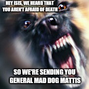Expect some changes | HEY ISIS, WE HEARD THAT YOU AREN'T AFRAID OF DEATH; SO WE'RE SENDING YOU GENERAL MAD DOG MATTIS | image tagged in mad dog | made w/ Imgflip meme maker