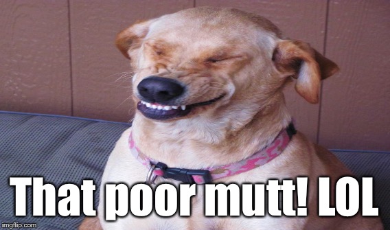That poor mutt! LOL | made w/ Imgflip meme maker