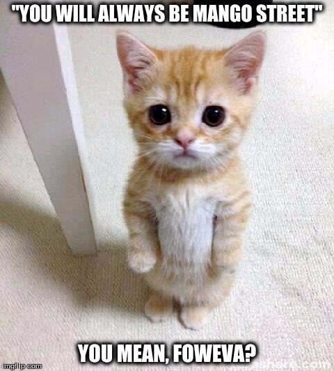 Cute Cat Meme | "YOU WILL ALWAYS BE MANGO STREET"; YOU MEAN, FOWEVA? | image tagged in memes,cute cat | made w/ Imgflip meme maker