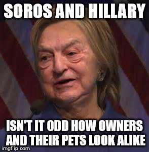 Soros and Hillary look alike | SOROS AND HILLARY; ISN'T IT ODD HOW OWNERS AND THEIR PETS LOOK ALIKE | image tagged in hillary soros look alike,pets,owners,corruption,hillary,soros | made w/ Imgflip meme maker
