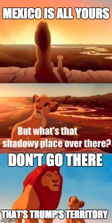 Simba Shadowy Place Meme | MEXICO IS ALL YOURS; DON'T GO THERE; THAT'S TRUMP'S TERRITORY | image tagged in memes,simba shadowy place | made w/ Imgflip meme maker