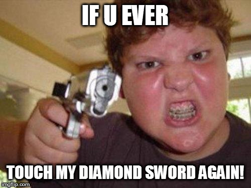 minecrafter | IF U EVER; TOUCH MY DIAMOND SWORD AGAIN! | image tagged in minecrafter | made w/ Imgflip meme maker