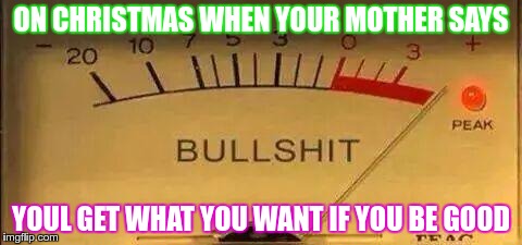 Bullshit Meter |  ON CHRISTMAS WHEN YOUR MOTHER SAYS; YOUL GET WHAT YOU WANT IF YOU BE GOOD | image tagged in bullshit meter | made w/ Imgflip meme maker