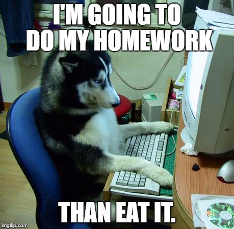I Have No Idea What I Am Doing Meme | I'M GOING TO DO MY HOMEWORK; THAN EAT IT. | image tagged in memes,i have no idea what i am doing | made w/ Imgflip meme maker