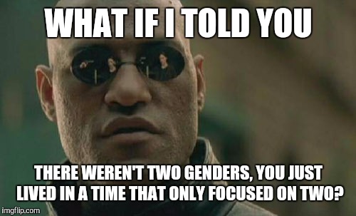 Matrix Morpheus Meme | WHAT IF I TOLD YOU THERE WEREN'T TWO GENDERS, YOU JUST LIVED IN A TIME THAT ONLY FOCUSED ON TWO? | image tagged in memes,matrix morpheus | made w/ Imgflip meme maker