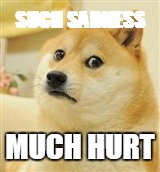 Sad Doge | SUCH SADNESS; MUCH HURT | image tagged in sad doge | made w/ Imgflip meme maker