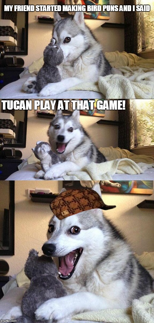 Bad Pun Dog | MY FRIEND STARTED MAKING BIRD PUNS AND I SAID; TUCAN PLAY AT THAT GAME! | image tagged in memes,bad pun dog,scumbag | made w/ Imgflip meme maker