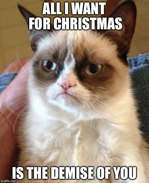 Grumpy Cat Meme | ALL I WANT FOR CHRISTMAS; IS THE DEMISE OF YOU | image tagged in memes,grumpy cat | made w/ Imgflip meme maker